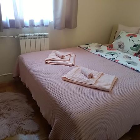 Apartman Nina Vojvode Stepe Vozdovac Voždivac Esterno foto